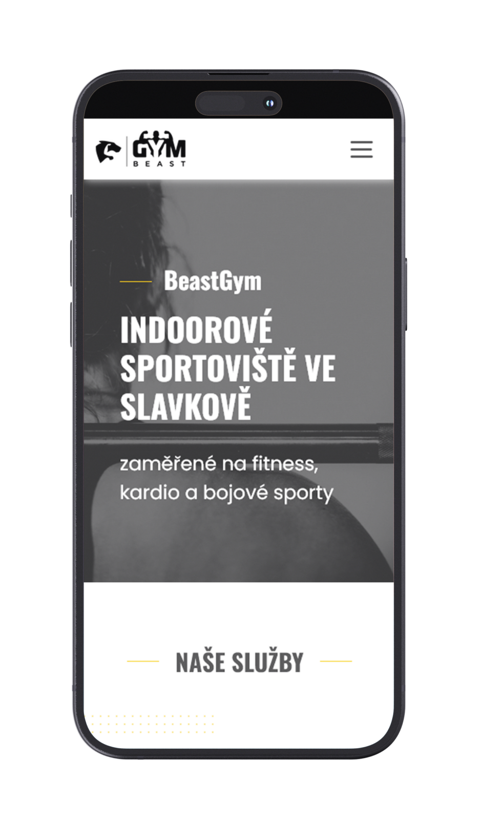 Beast gym #1